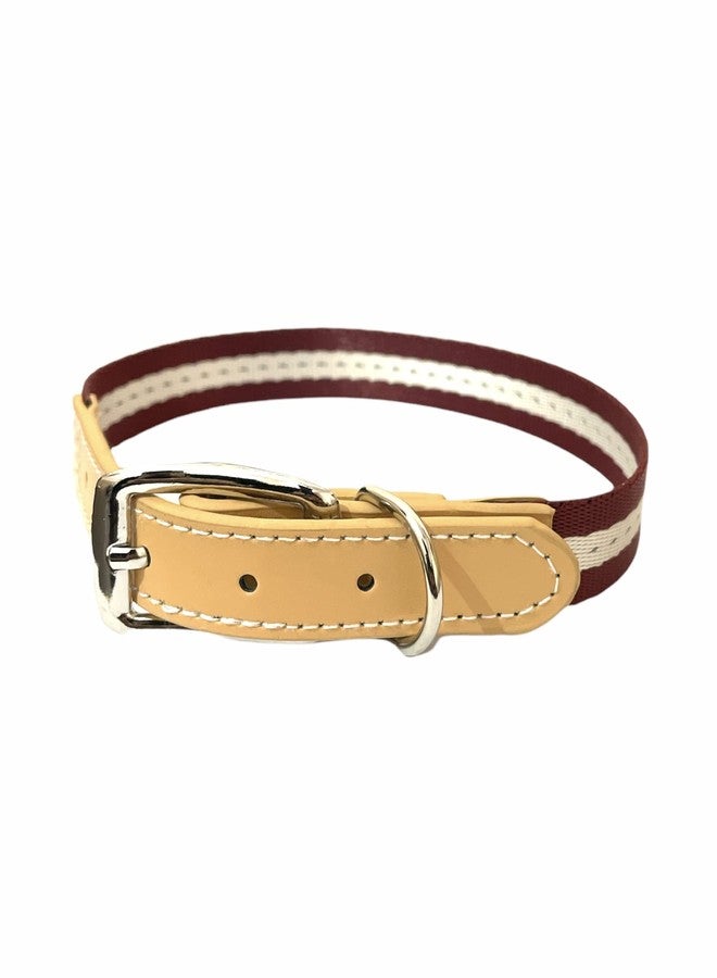 DOGTOWN Soft Nylon Collar with Strip Pattern for Dogs & Kitten (Color May Vary) (20 MM, Maroon) - Image 2